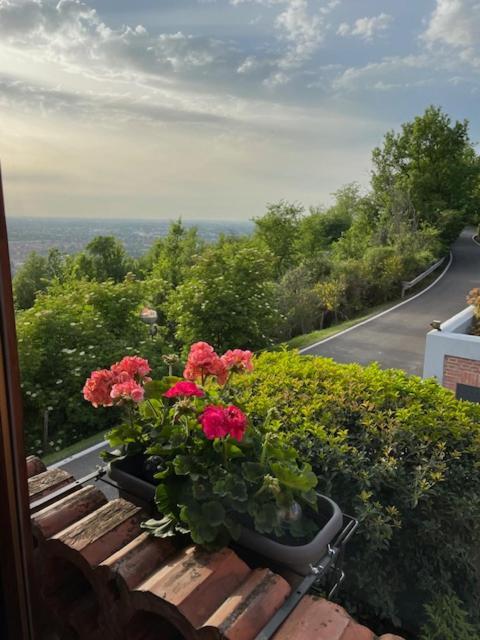 Podere Boschetto R&B Bologna Ngoại thất bức ảnh